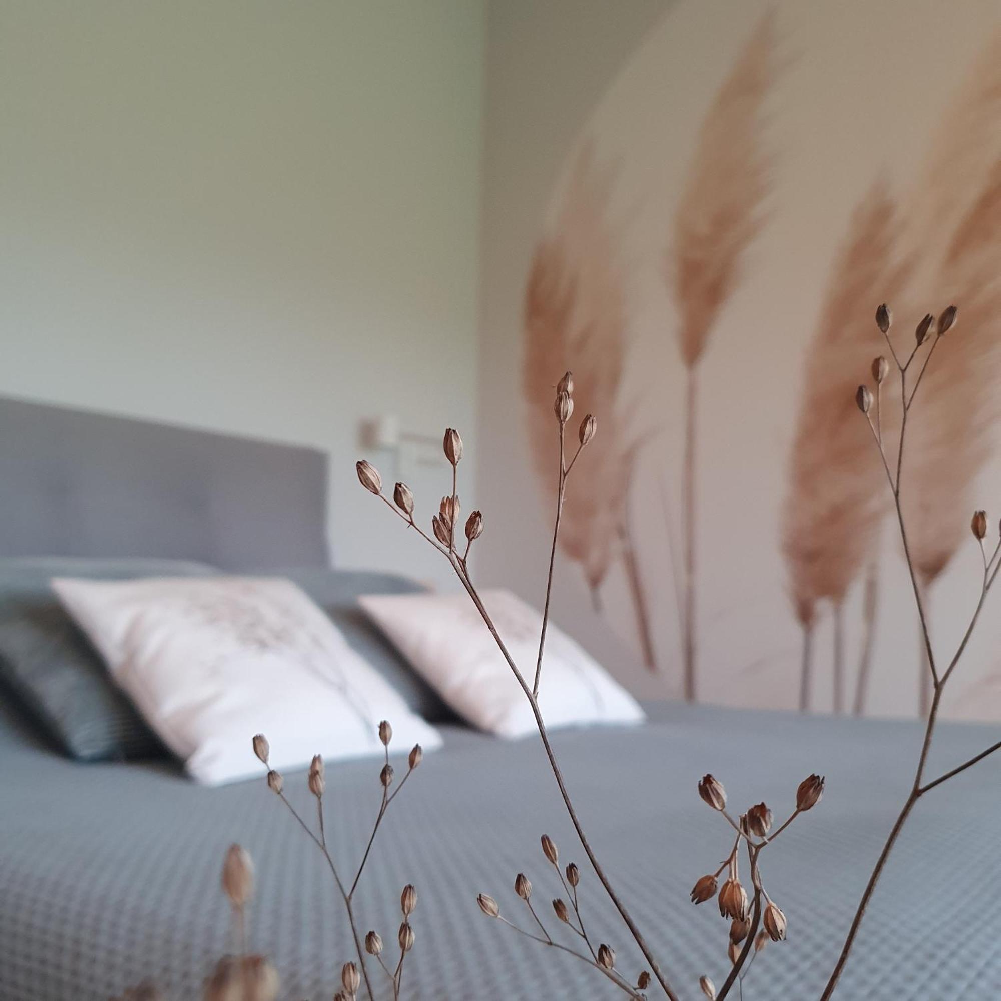 Hippe Schuur Bed & Breakfast Tytsjerk Dış mekan fotoğraf